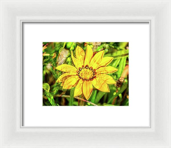 Single Yellow Flower with Waterdrops Overlay - Framed Print