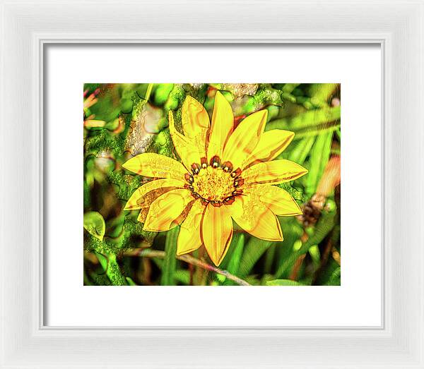 Single Yellow Flower with Waterdrops Overlay - Framed Print