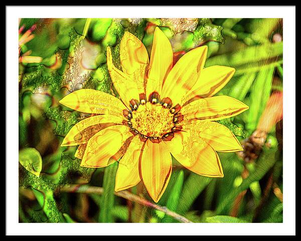Single Yellow Flower with Waterdrops Overlay - Framed Print