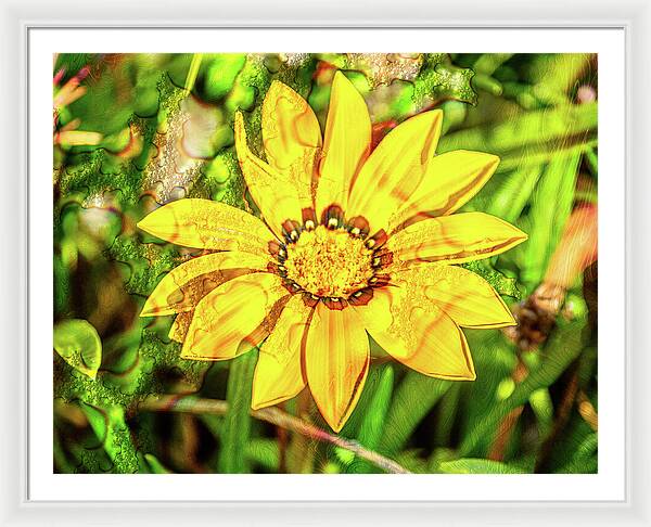 Single Yellow Flower with Waterdrops Overlay - Framed Print