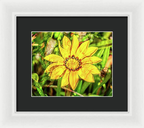 Single Yellow Flower with Waterdrops Overlay - Framed Print