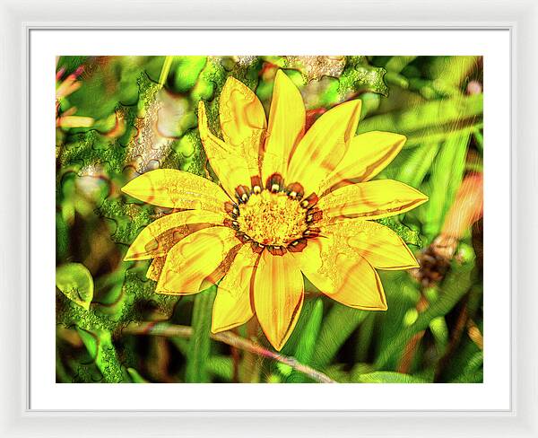 Single Yellow Flower with Waterdrops Overlay - Framed Print
