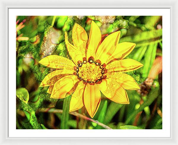 Single Yellow Flower with Waterdrops Overlay - Framed Print