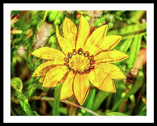 Single Yellow Flower with Waterdrops Overlay - Framed Print