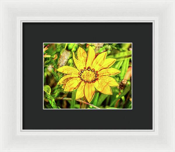 Single Yellow Flower with Waterdrops Overlay - Framed Print
