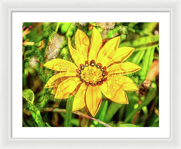 Single Yellow Flower with Waterdrops Overlay - Framed Print