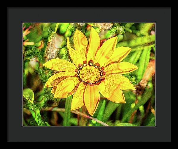 Single Yellow Flower with Waterdrops Overlay - Framed Print