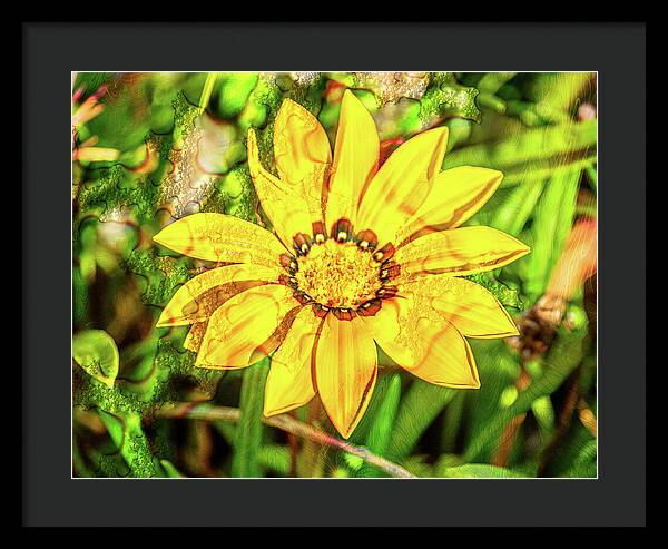 Single Yellow Flower with Waterdrops Overlay - Framed Print