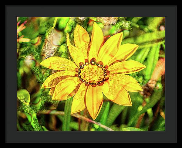 Single Yellow Flower with Waterdrops Overlay - Framed Print