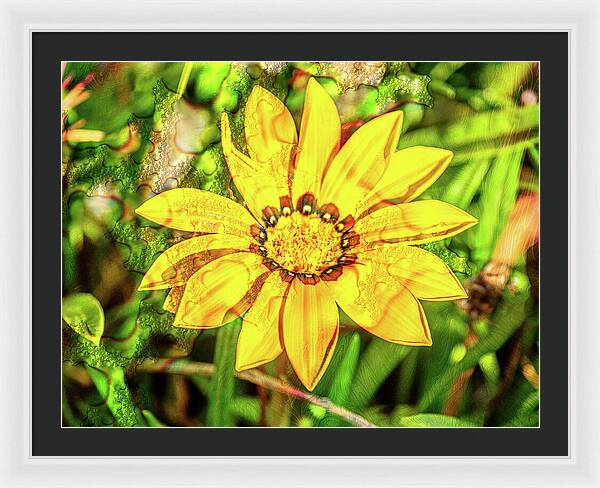 Single Yellow Flower with Waterdrops Overlay - Framed Print