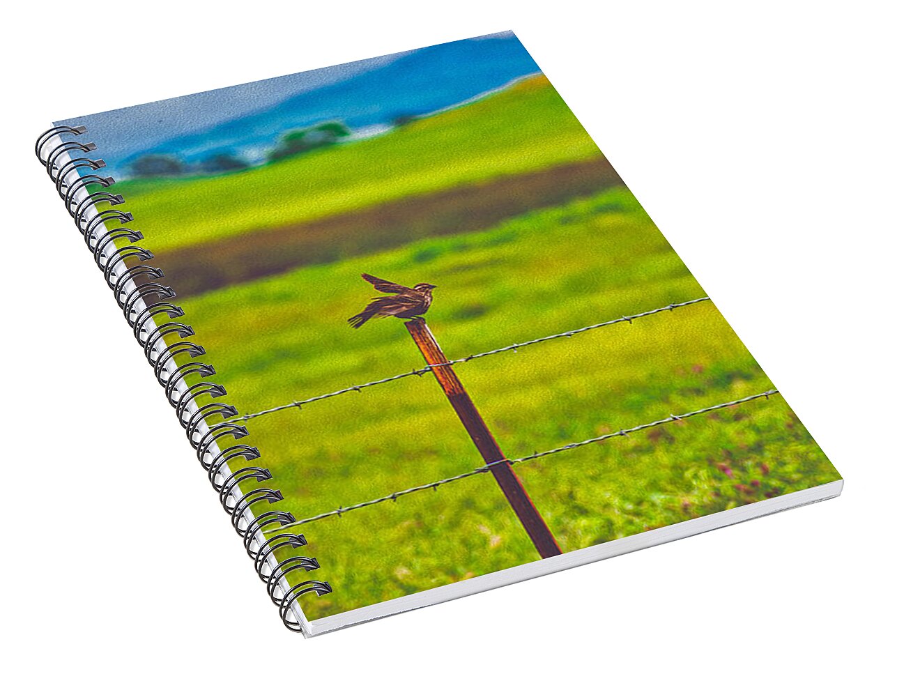 Small Bird Ready for take off Landscape - Spiral Notebook