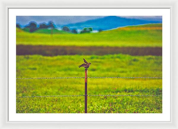 Small Bird Ready for take off Landscape - Framed Print