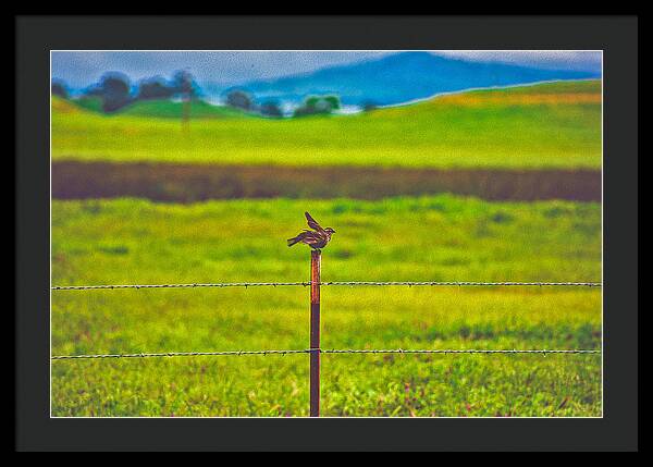 Small Bird Ready for take off Landscape - Framed Print