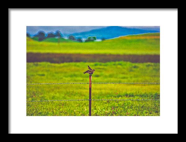 Small Bird Ready for take off Landscape - Framed Print