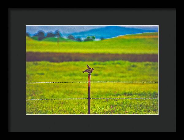 Small Bird Ready for take off Landscape - Framed Print