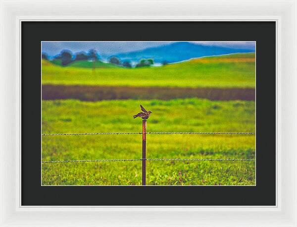 Small Bird Ready for take off Landscape - Framed Print
