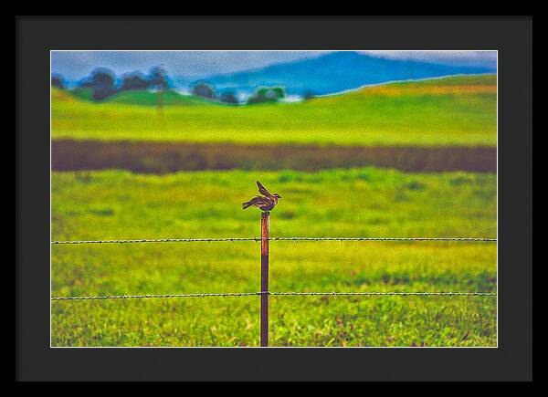 Small Bird Ready for take off Landscape - Framed Print