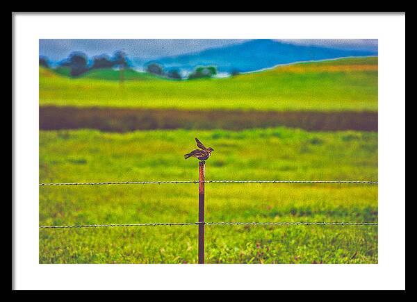 Small Bird Ready for take off Landscape - Framed Print
