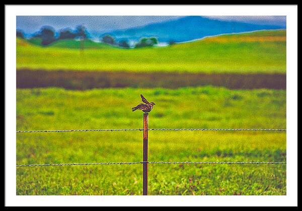 Small Bird Ready for take off Landscape - Framed Print
