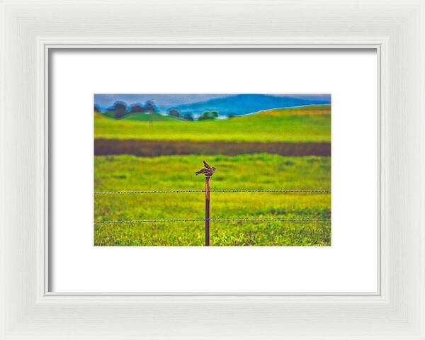 Small Bird Ready for take off Landscape - Framed Print