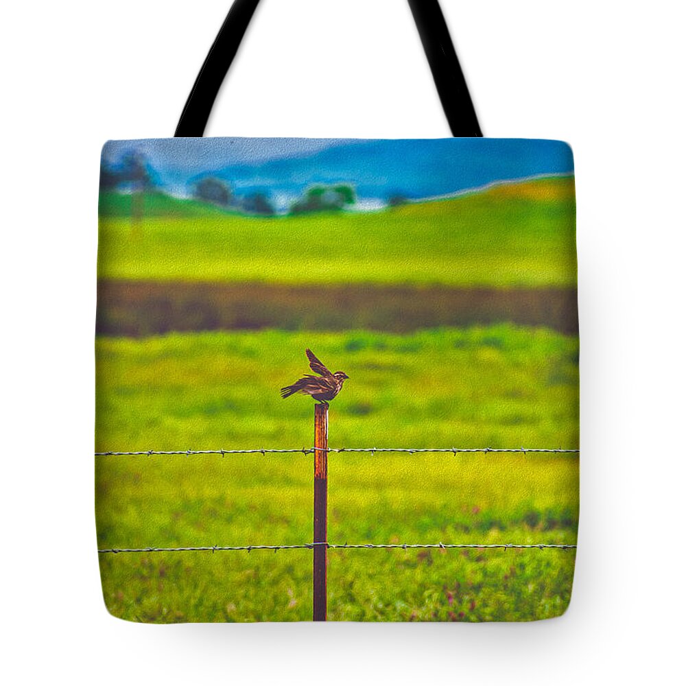 Small Bird Ready for take off Landscape - Tote Bag
