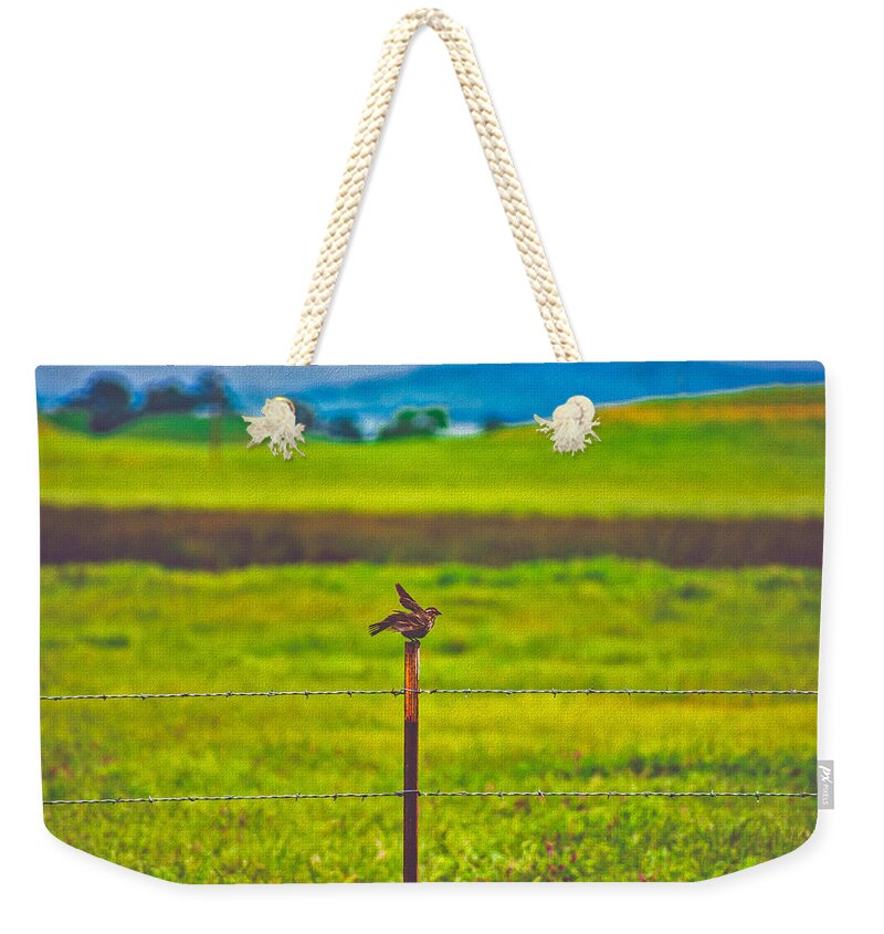 Small Bird Ready for take off Landscape - Weekender Tote Bag
