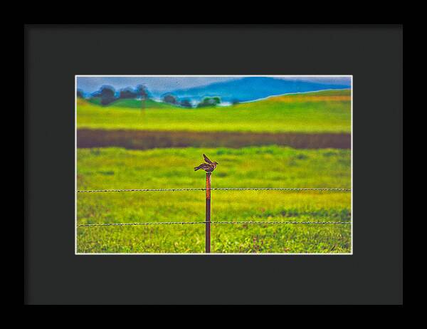 Small Bird Ready for take off Landscape - Framed Print