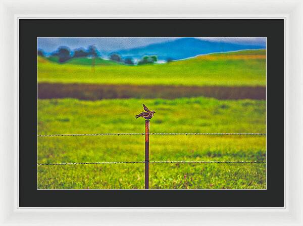 Small Bird Ready for take off Landscape - Framed Print