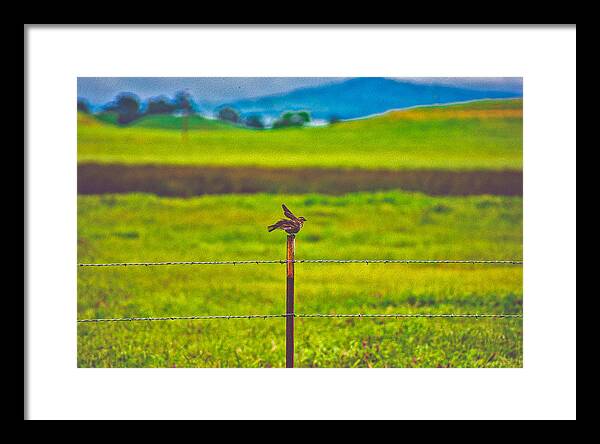 Small Bird Ready for take off Landscape - Framed Print