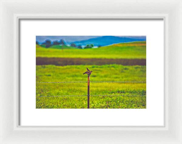 Small Bird Ready for take off Landscape - Framed Print