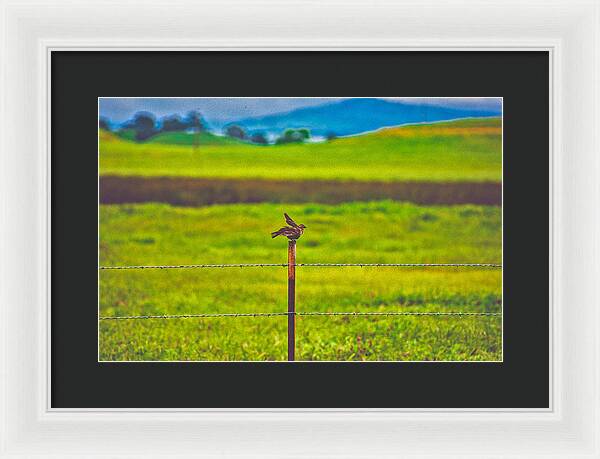 Small Bird Ready for take off Landscape - Framed Print