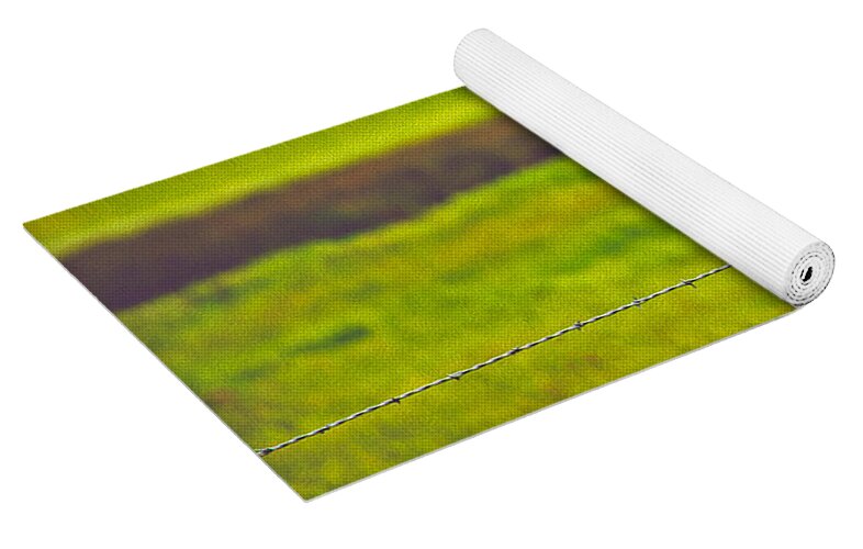 Small Bird Ready for take off Landscape - Yoga Mat