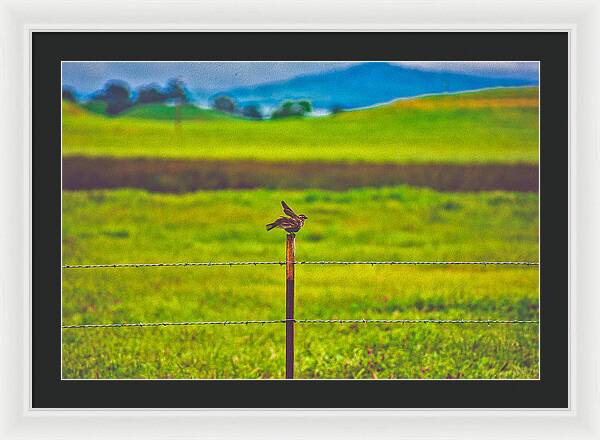 Small Bird Ready for take off Landscape - Framed Print