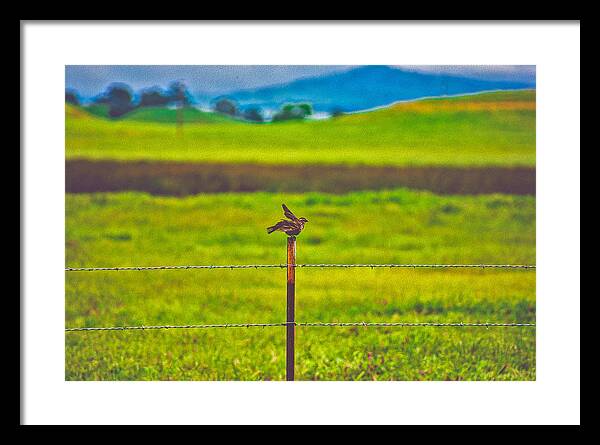 Small Bird Ready for take off Landscape - Framed Print