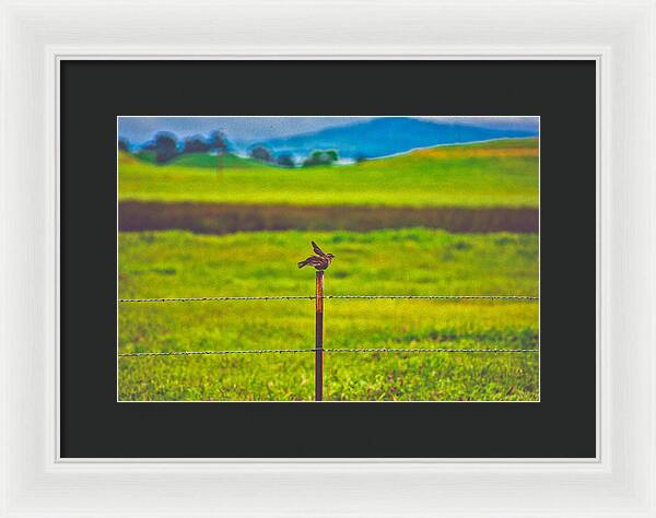 Small Bird Ready for take off Landscape - Framed Print