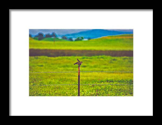 Small Bird Ready for take off Landscape - Framed Print
