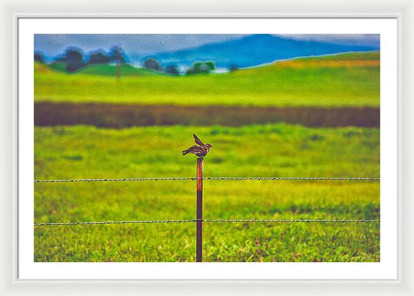 Small Bird Ready for take off Landscape - Framed Print