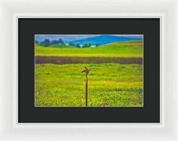 Small Bird Ready for take off Landscape - Framed Print
