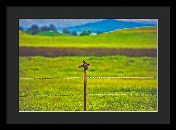 Small Bird Ready for take off Landscape - Framed Print