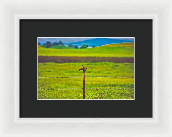 Small Bird Ready for take off Landscape - Framed Print