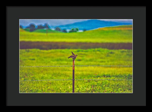Small Bird Ready for take off Landscape - Framed Print