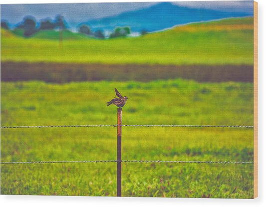 Small Bird Ready for take off Landscape - Wood Print