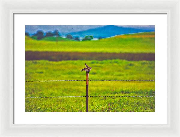 Small Bird Ready for take off Landscape - Framed Print