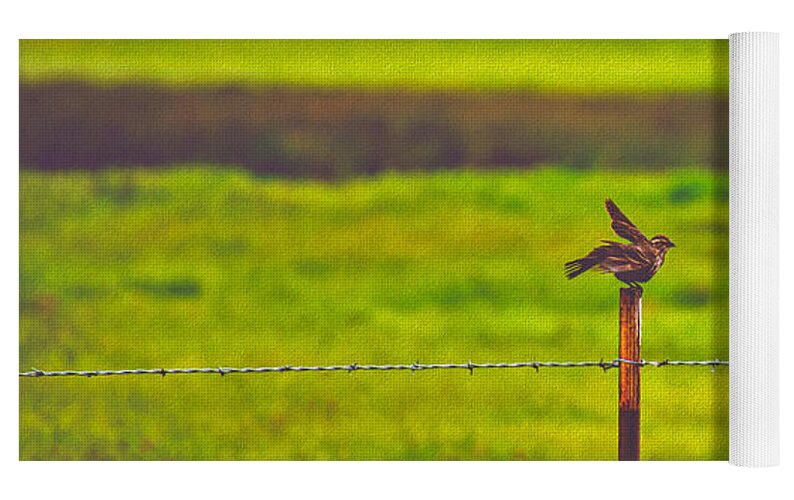 Small Bird Ready for take off Landscape - Yoga Mat