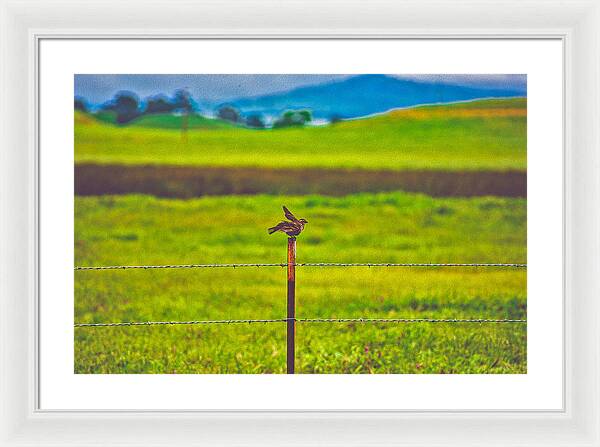 Small Bird Ready for take off Landscape - Framed Print