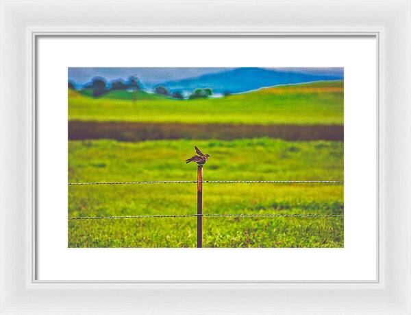 Small Bird Ready for take off Landscape - Framed Print