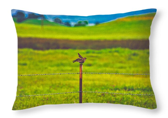 Small Bird Ready for take off Landscape - Throw Pillow