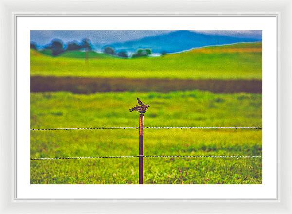 Small Bird Ready for take off Landscape - Framed Print