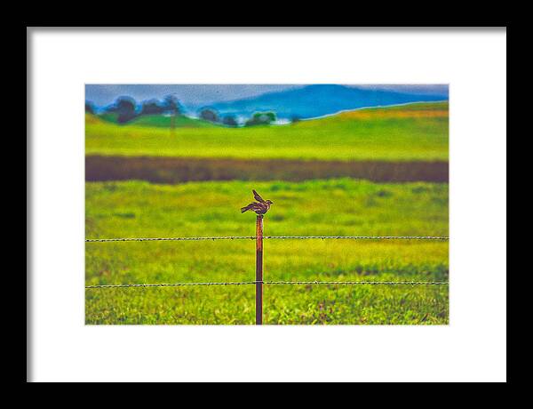 Small Bird Ready for take off Landscape - Framed Print