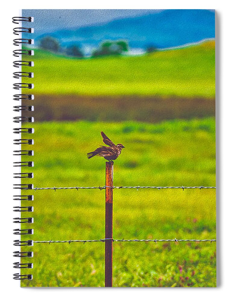Small Bird Ready for take off Landscape - Spiral Notebook